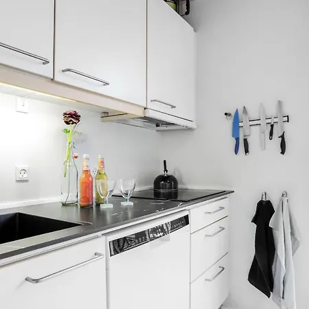 Amazing In With Kitchen Apartment Gudhjem